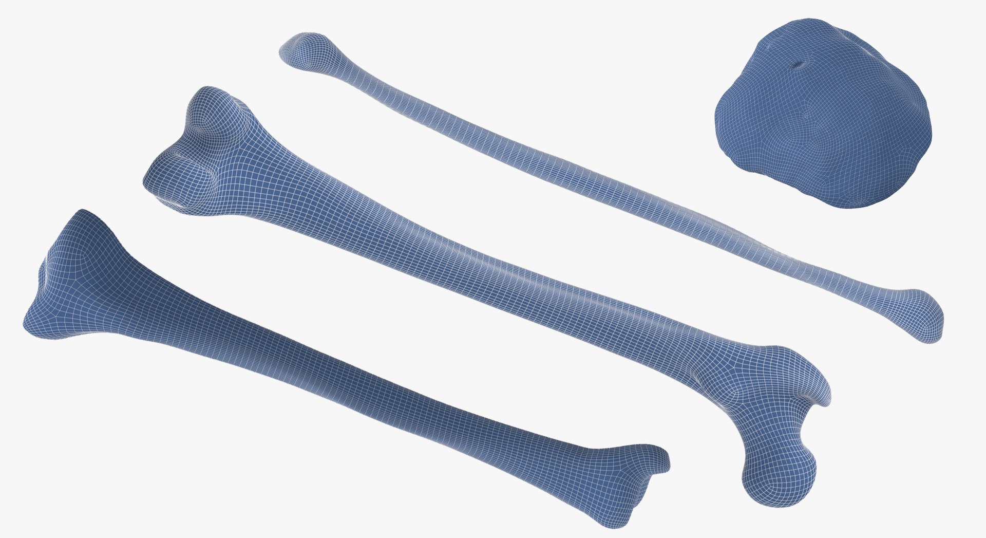 Human Leg Bones Collection Full Yellow -  24 models 3D model https://p.turbosquid.com/ts-thumb/MC/SqxJca/rS/8a/jpg/1624026723/1920x1080/fit_q87/09904e6c167f0730a70a519b362efc5a931dae6f/8a.jpg