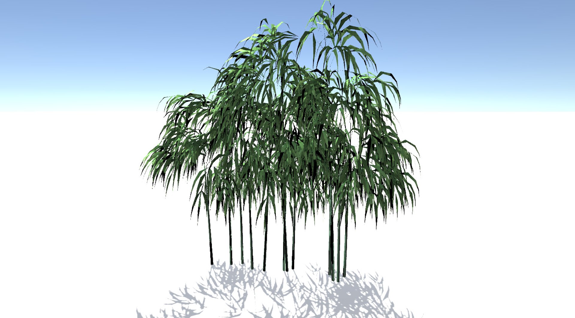 Bamboo Tree 3d Model