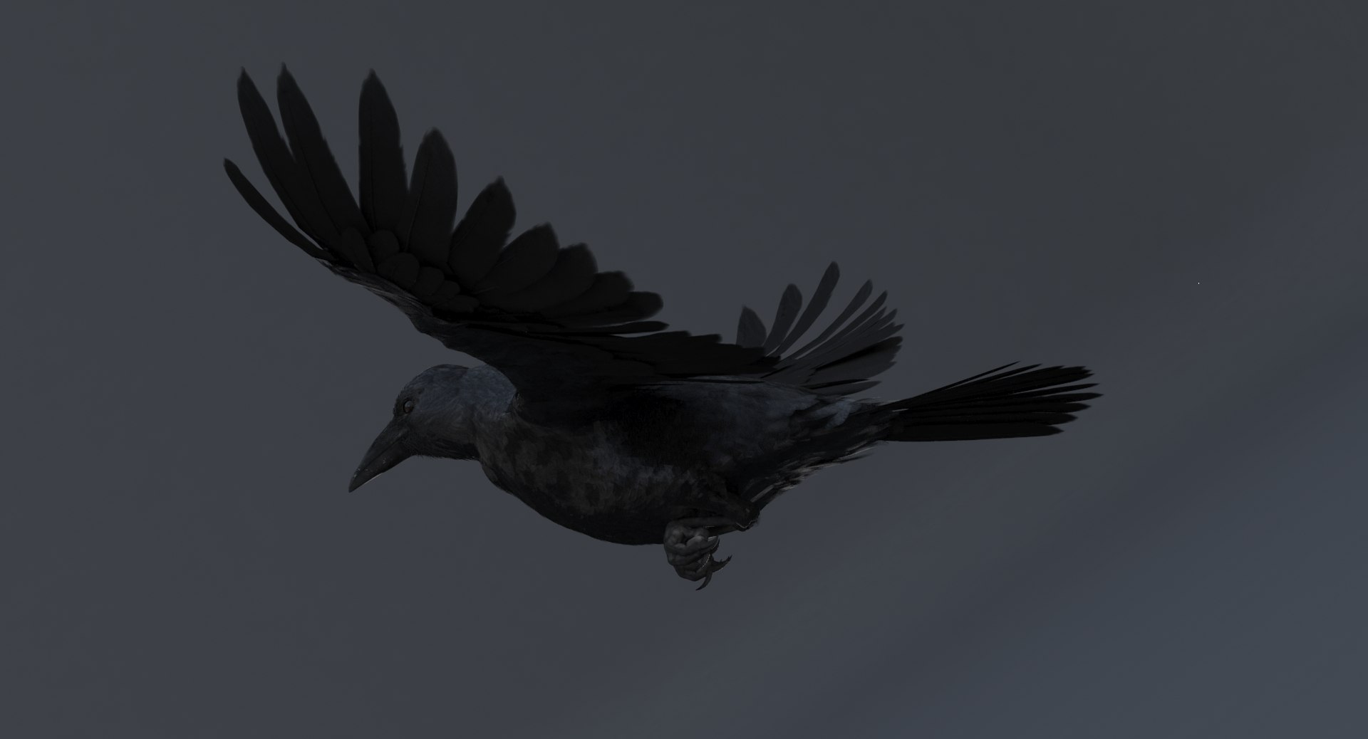 3D crow rigged model https://p.turbosquid.com/ts-thumb/MC/eEDWaJ/53AGZlSk/crowrigged.rgb_color.0005/jpg/1516281866/1920x1080/fit_q87/b635751a9f77335ffe1bfb0480162fb21188ea4f/crowrigged.rgb_color.0005.jpg