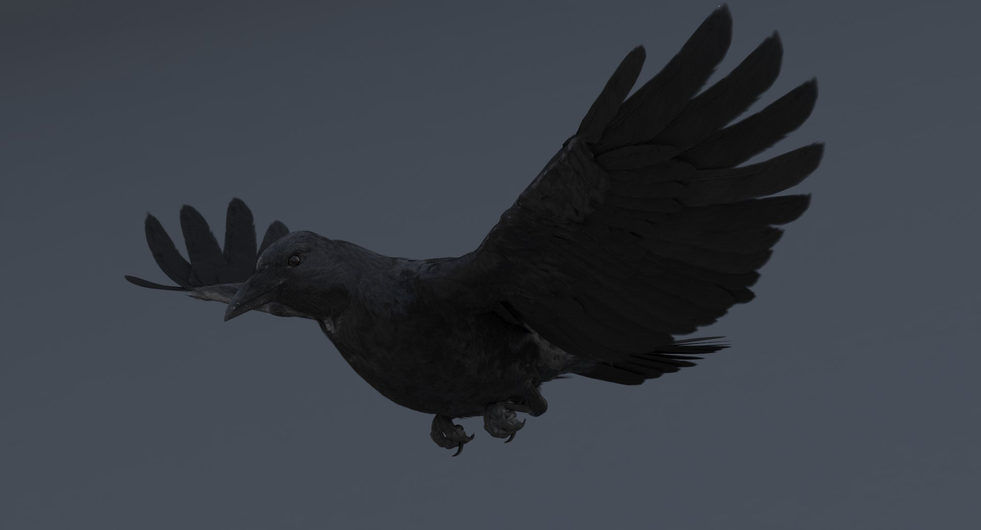 3D crow rigged model https://p.turbosquid.com/ts-thumb/MC/eEDWaJ/O4VR3Tsw/crowrigged.rgb_color.0002/jpg/1516281866/1920x1080/fit_q87/be82a0d59a26b071f9969f774053fbaf7abb4091/crowrigged.rgb_color.0002.jpg