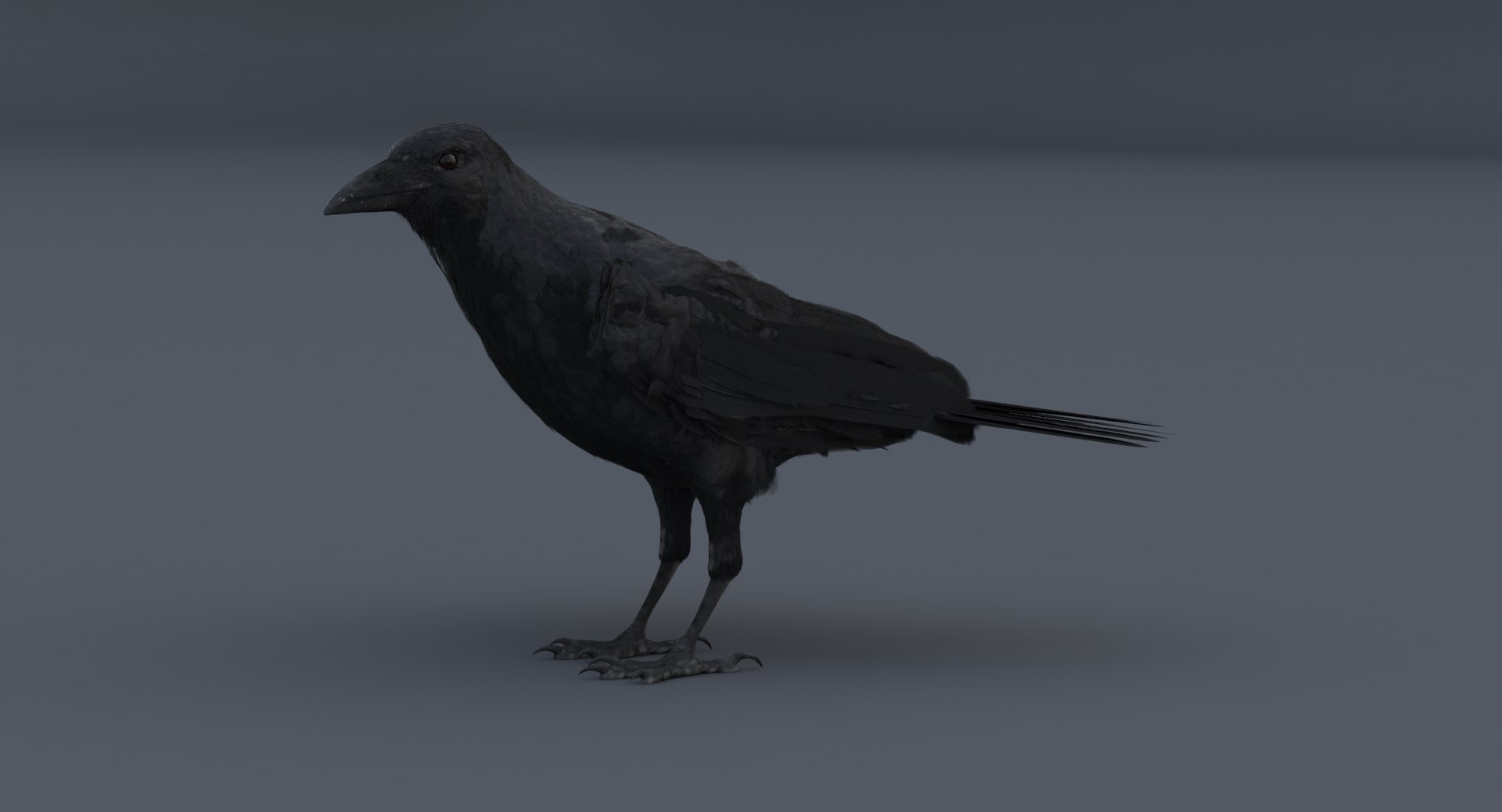 3D crow rigged model https://p.turbosquid.com/ts-thumb/MC/eEDWaJ/T928Hr1A/crowwingclose/jpg/1516281866/1920x1080/fit_q87/bdb9b7462e25654641d112757206b8869ffe5184/crowwingclose.jpg