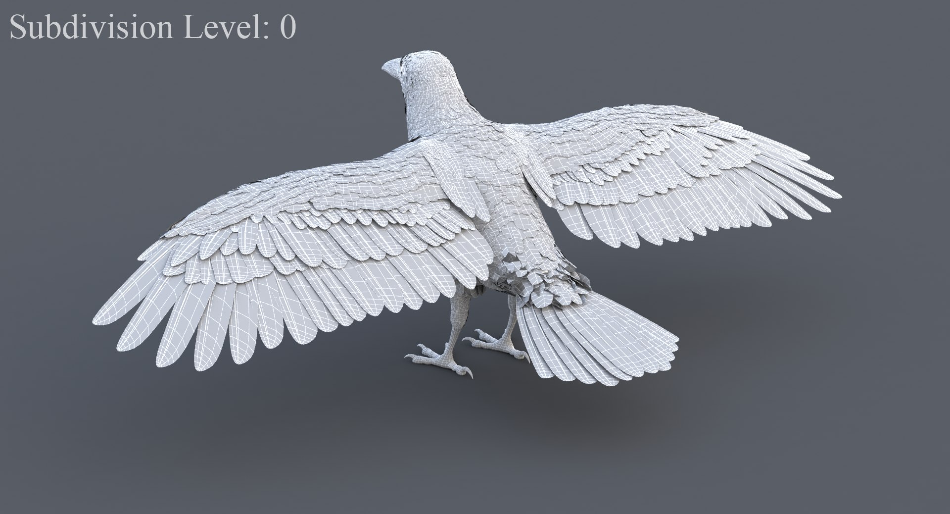 3D Crow Rigged Model - TurboSquid 1244530