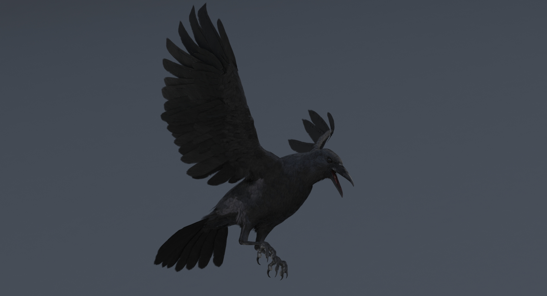 3D crow rigged model - TurboSquid 1244530