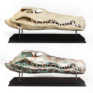 3D model crocodile skull