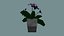 Vaso di fiori lowpoly