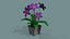 Vaso di fiori lowpoly
