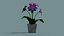 Vaso di fiori lowpoly