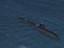 3d model ship los angeles class submarine