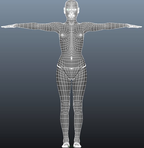 3d female modeled