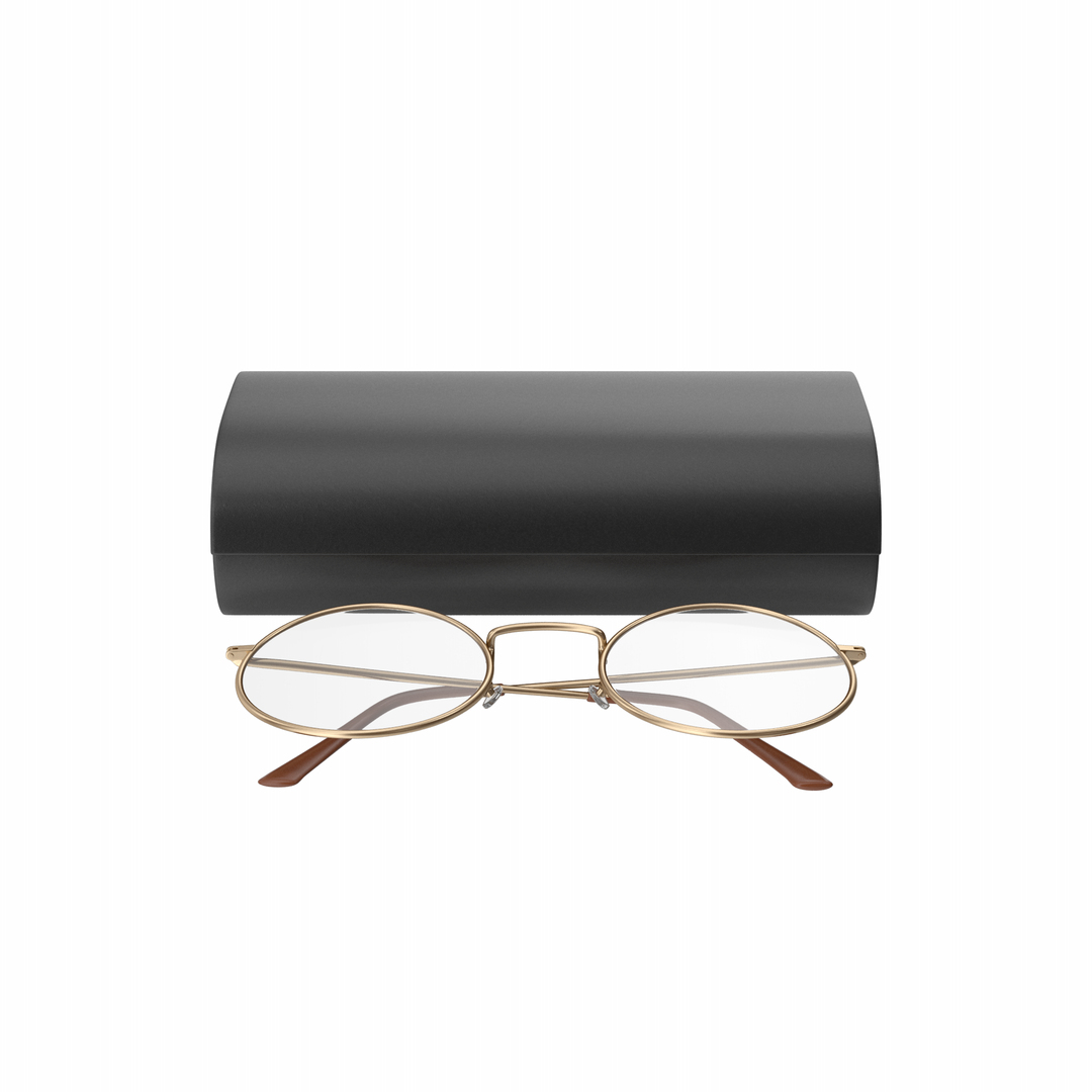 Eyeglasses Case And Eyeglasses 3D - TurboSquid 2077138