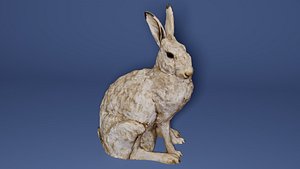 3D Realistic Hare Figure