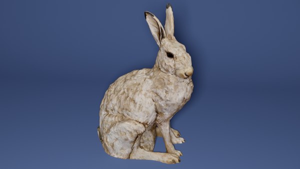 3D Realistic Hare Figure