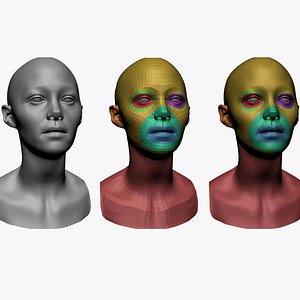 Female Head Basemesh C 3D model