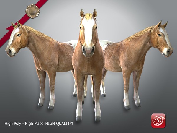 horse male tpose 3D model