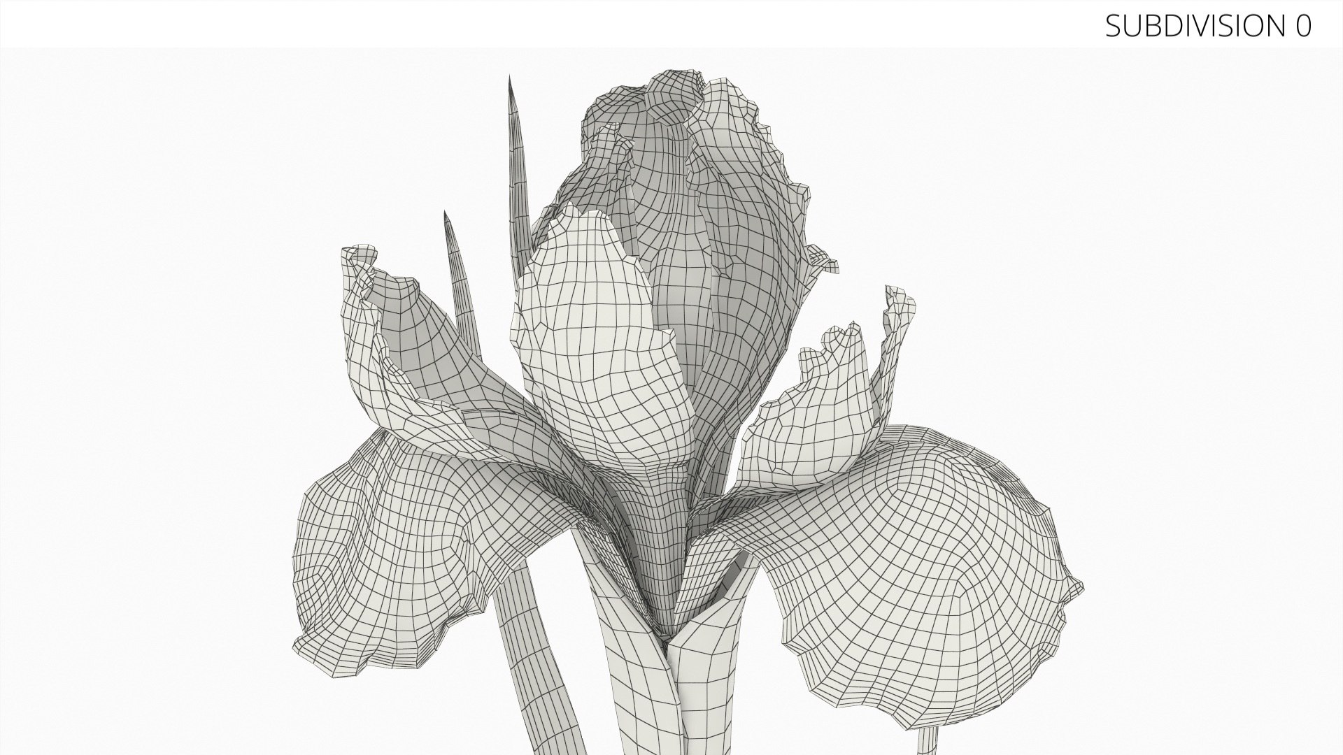 Tall Iris Plant With Leaves and Bud Red model https://p.turbosquid.com/ts-thumb/MD/W79HGP/MV/tall_iris_plant_with_leaves_and_bud_red_006/jpg/1765320187/1920x1080/fit_q87/4c858ffe3bf93b4197a7344262b1c11c44eb57bd/tall_iris_plant_with_leaves_and_bud_red_006.jpg