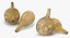 Gourd Containers 3D Models Set