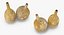 Gourd Containers 3D Models Set
