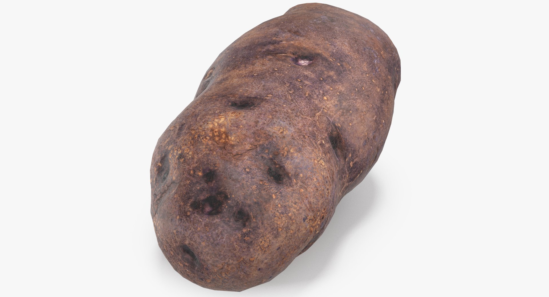 3D model Potatoes Game Ready Collection 01 - 24 models https://p.turbosquid.com/ts-thumb/MD/cIm0i7/FK/purple_potato_game_ready_04_thumbnail_0001/jpg/1637765042/1920x1080/fit_q87/51a942a86eca376a7ea0d9b12d4503ec6b545362/purple_potato_game_ready_04_thumbnail_0001.jpg