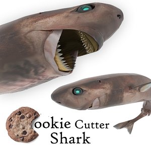 cookie cutter shark 3D model