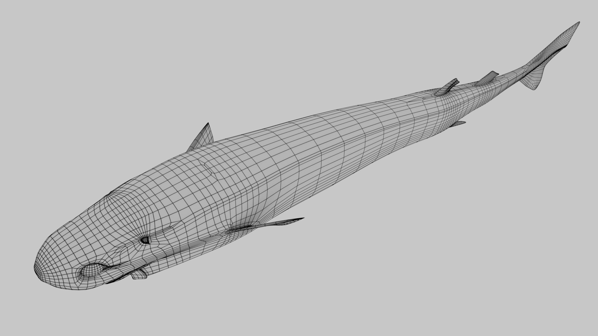 Cookie Cutter Shark 3D Model - TurboSquid 1186719