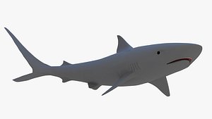 reef shark 3D