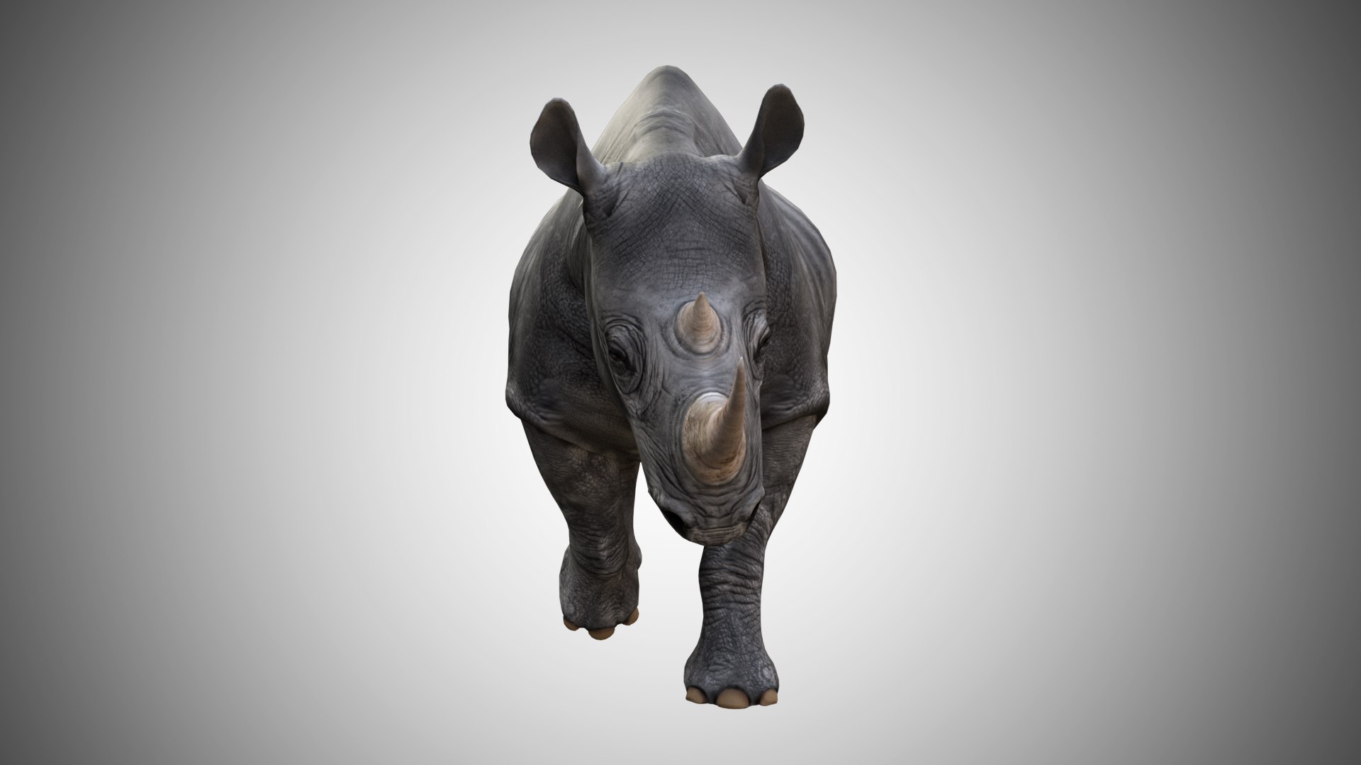 rigged 3D model https://p.turbosquid.com/ts-thumb/MD/mEsJkj/CrX2Lrtt/rhino_06/jpg/1599771742/1920x1080/fit_q87/630dca9a4dc059d4032d8b949c4ef245e9bbf4f4/rhino_06.jpg