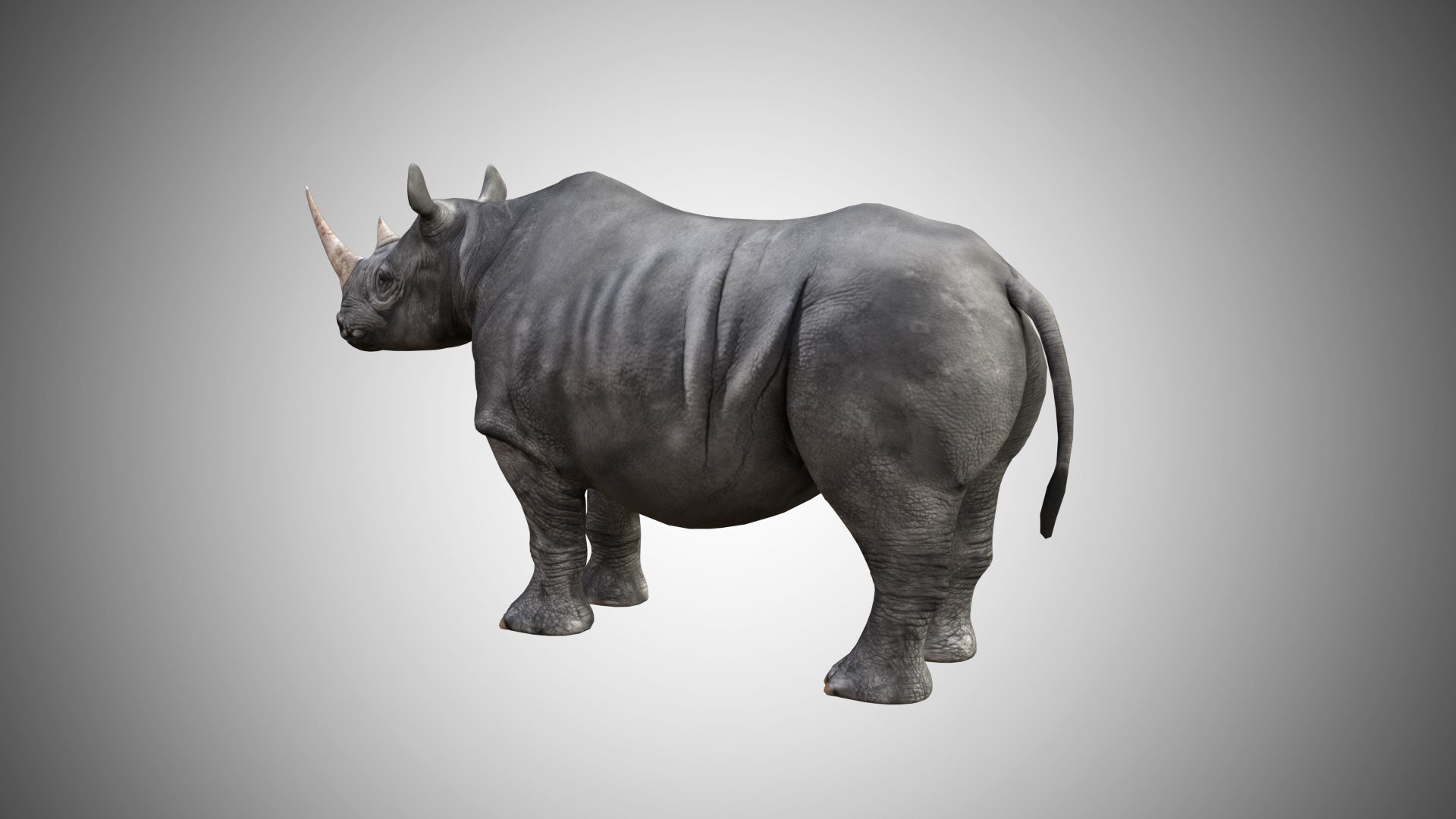 rigged 3D model https://p.turbosquid.com/ts-thumb/MD/mEsJkj/VH4EgJ1Y/rhino_02/jpg/1599771741/1920x1080/fit_q87/88af4899cf3bcf4b04bd1223fafe7742ff13b954/rhino_02.jpg