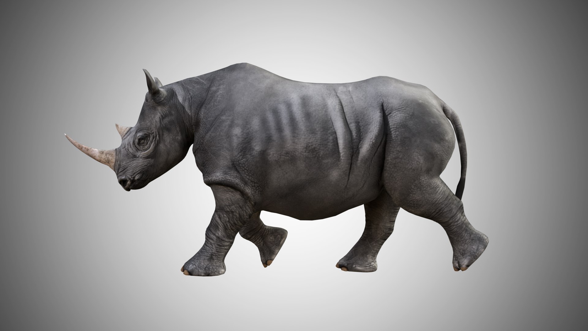 rigged 3D model https://p.turbosquid.com/ts-thumb/MD/mEsJkj/aTxGmzV0/rhino_05/jpg/1599771741/1920x1080/fit_q87/c149712592373a4b1df2db40d205658f844738ac/rhino_05.jpg