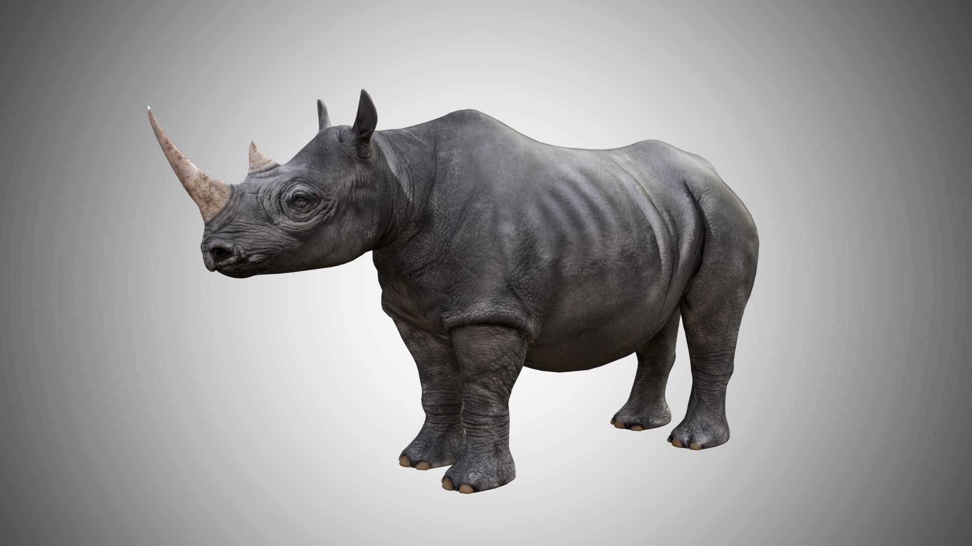 rigged 3D model https://p.turbosquid.com/ts-thumb/MD/mEsJkj/g2xsh9hq/rhino_01/jpg/1599771741/1920x1080/fit_q87/e07f0b31c0f5db815efaf8210dc237fe7ff1e6a4/rhino_01.jpg