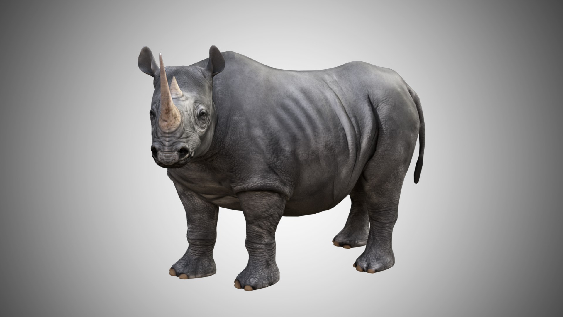 rigged 3D model https://p.turbosquid.com/ts-thumb/MD/mEsJkj/oSm0BcNG/rhino_03/jpg/1599771741/1920x1080/fit_q87/a5a483ad0179fcf488b696e656d83d3eca02ea95/rhino_03.jpg