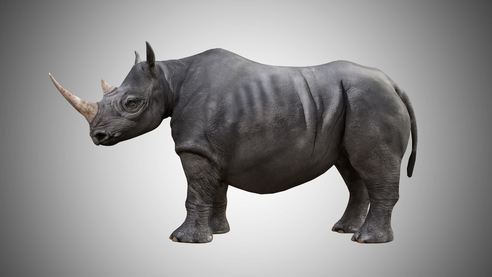 rigged 3D model https://p.turbosquid.com/ts-thumb/MD/mEsJkj/vFRXNOF1/rhino_04/jpg/1599771741/1920x1080/fit_q87/48d0bc97d2994b9a37344634276c9180e755f7a2/rhino_04.jpg