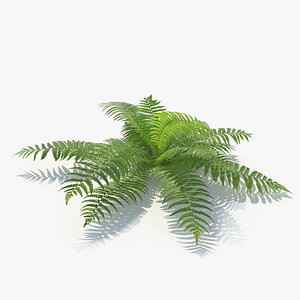 3D 01 leaves v-ray