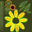Fiore solare animato a basso poli