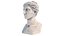 Venus head bust