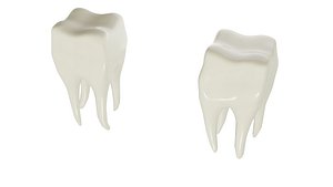 molar 3D model