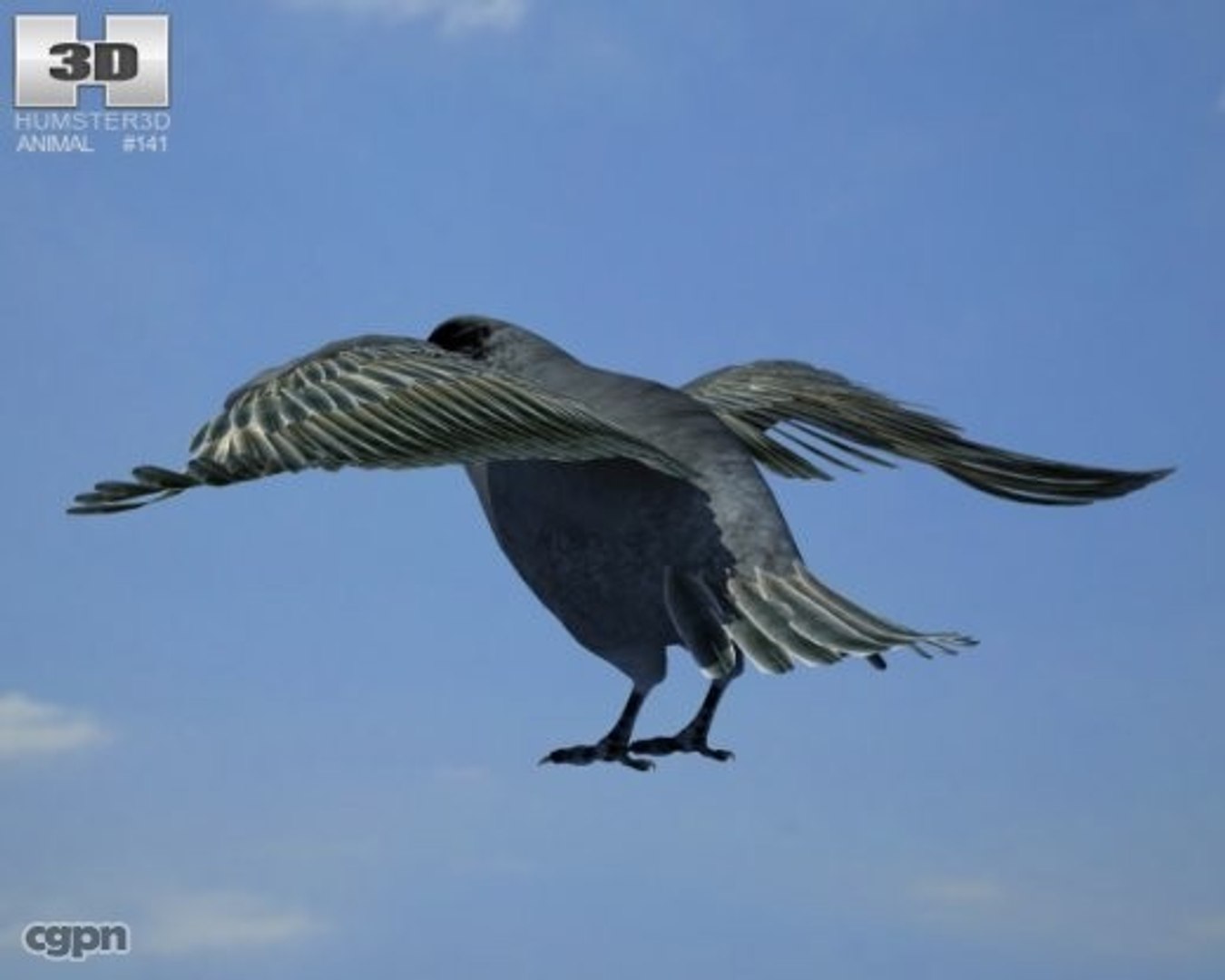3d Common Raven Corax