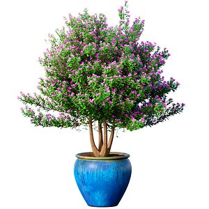3D model Decorative garden tree potted decoration Provence style