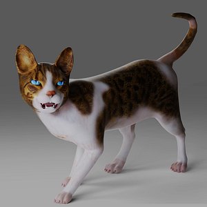 3D Calico Cat rigged and animated V3