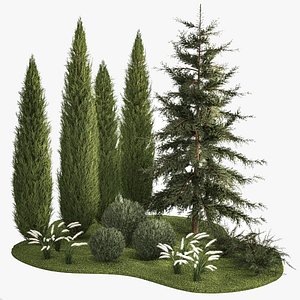 Garden of thuja and cypress trees with feather grass bushes 1160 3D
