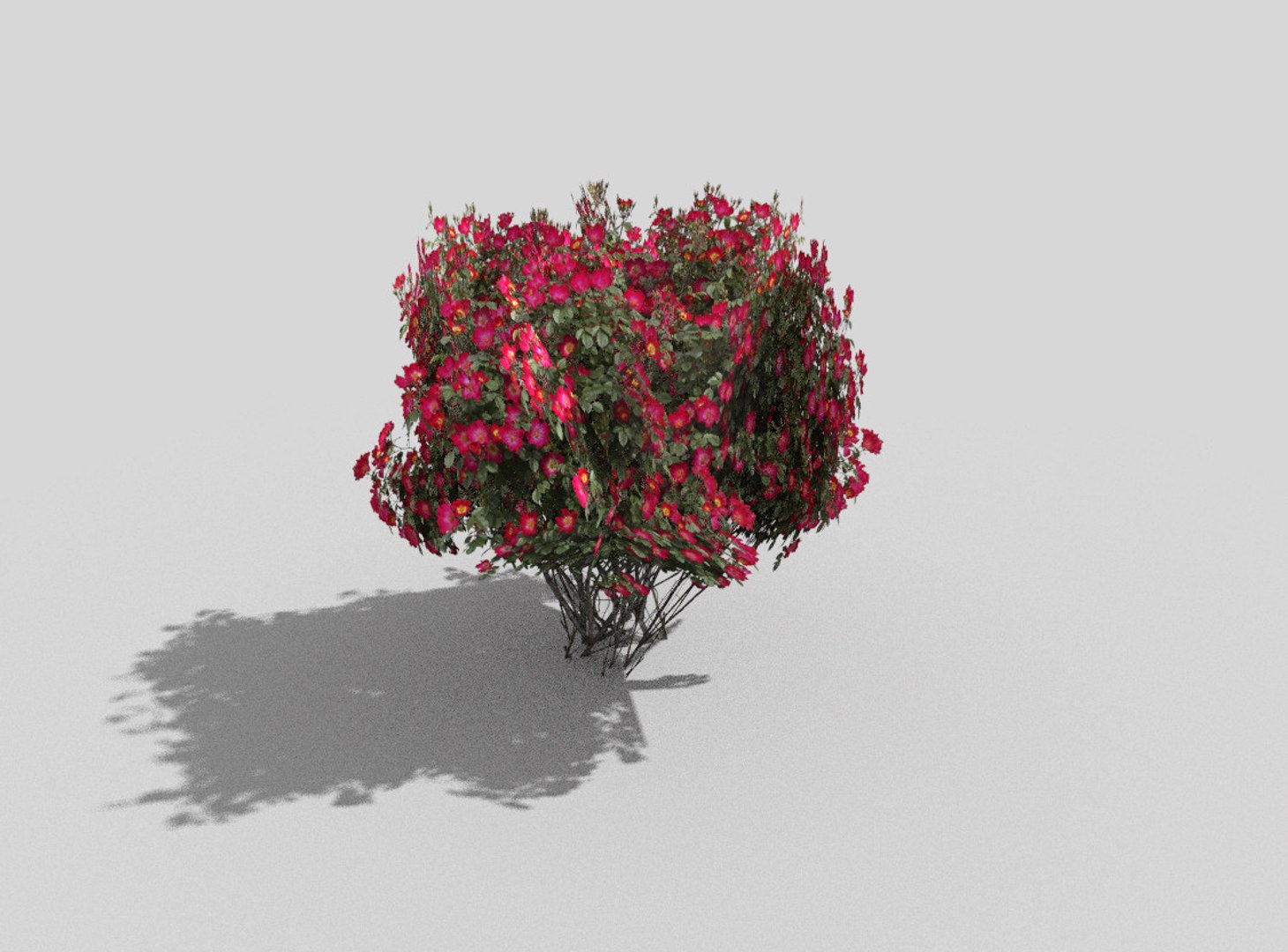 3d model https://p.turbosquid.com/ts-thumb/MF/LELIsw/lAN07WlG/2/jpg/1489573065/1920x1080/fit_q87/3ae285c9a2c31f9ec63bb87fe685a398a5cae768/2.jpg