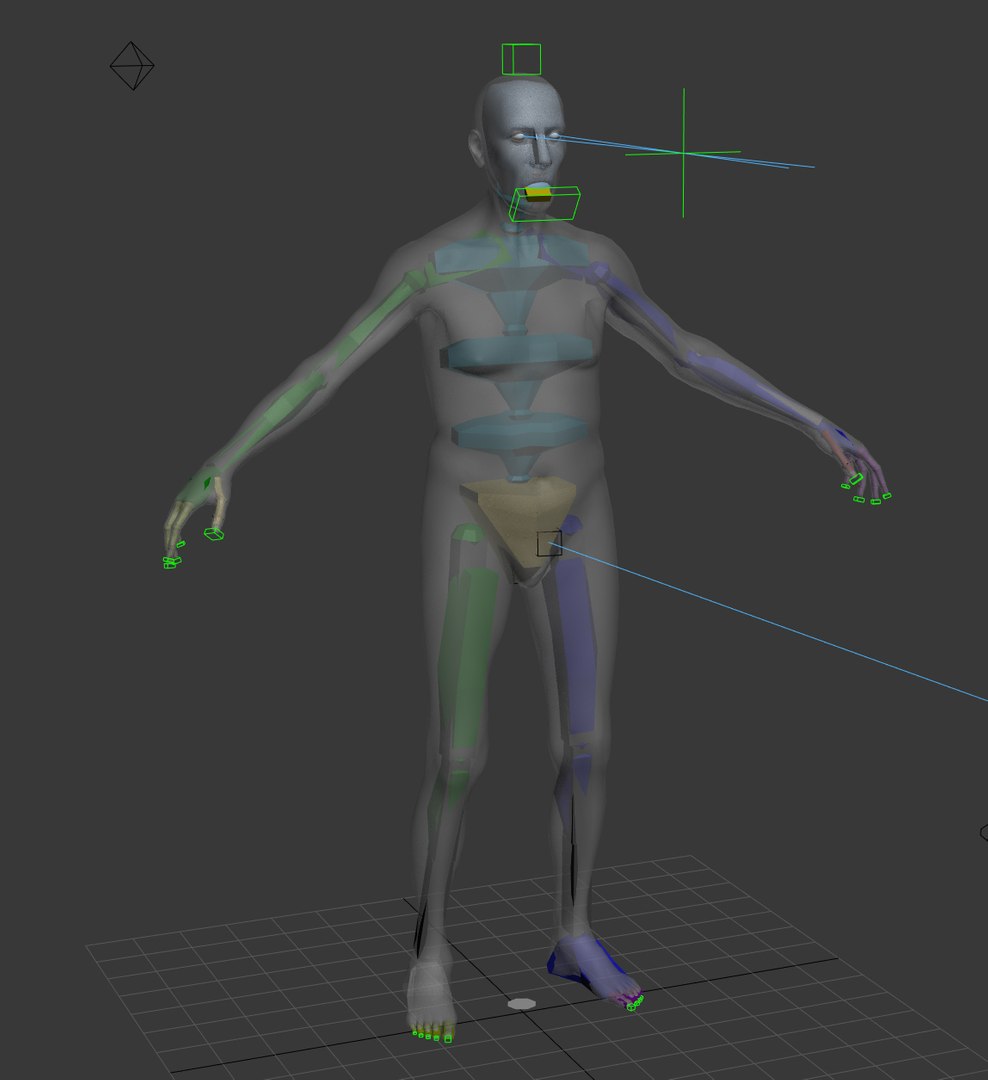 3D rigging face animation https://p.turbosquid.com/ts-thumb/MF/WrhRso/9kFVYZwl/zbiped/jpg/1588676791/1920x1080/fit_q87/ec6e096156b501390a79310e43502489994befdf/zbiped.jpg