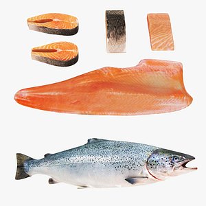 Salmon Fish and Meat Parts model