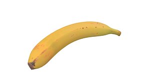 Banana Fruit 3D Model AR VR PBR