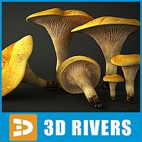 Chanterelle 02 by 3DRivers