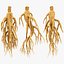Collection Ginseng