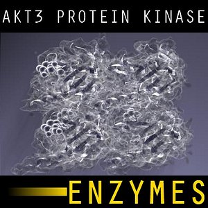 3d model enzyme proteins kinase akt3