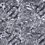 AKT3 PROTEIN KINASE