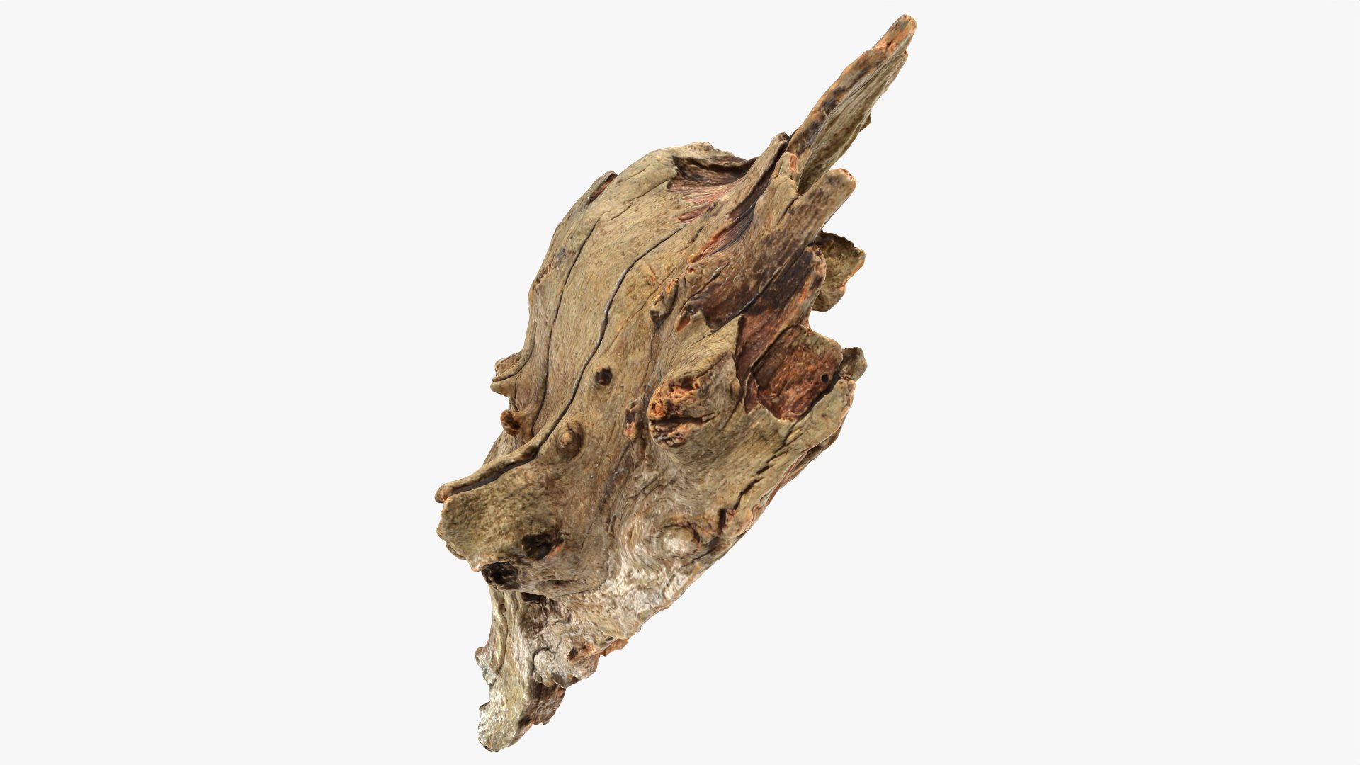 Tree Trunk Piece 10 3D model https://p.turbosquid.com/ts-thumb/MF/t4wRIe/90/treetrunkpc10_0008/png/1765542776/1920x1080/fit_q87/0a56d27ce53218b8fb154b6a5ee2cfe5fed975fe/treetrunkpc10_0008.jpg