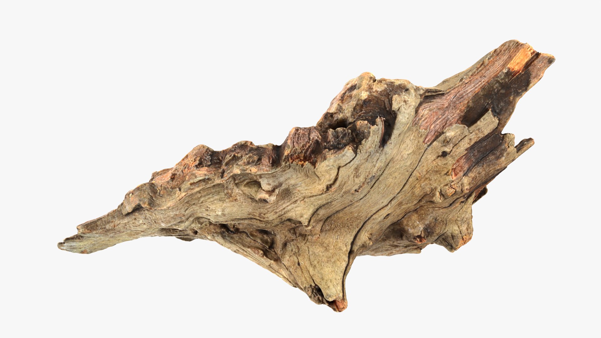 Tree Trunk Piece 10 3D model https://p.turbosquid.com/ts-thumb/MF/t4wRIe/Bp/treetrunkpc10_0003/png/1765542768/1920x1080/fit_q87/a905d11b193815ac77f79a851d834720860ca800/treetrunkpc10_0003.jpg