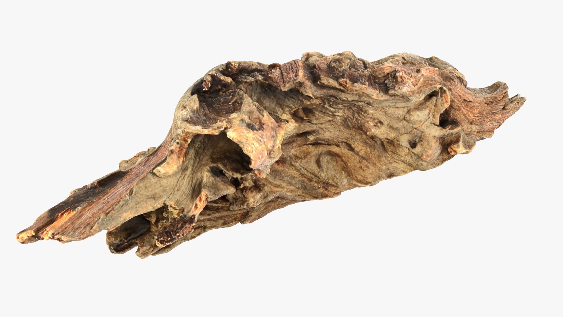 Tree Trunk Piece 10 3D model https://p.turbosquid.com/ts-thumb/MF/t4wRIe/Gh/treetrunkpc10_0010/png/1765542780/1920x1080/fit_q87/938e9afc37680638f7803f23e55e8ef5c15b2165/treetrunkpc10_0010.jpg